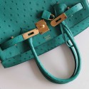 BIRKIN 30 VERT VERTIGO OSTRICH LEATHER GHW